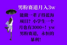 能做一辈子的蓝海项目？小学生一个月也有3000+，yw男粉赛道，永恒的暴利-蜗牛学社