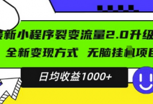 最新小程序升级版项目,全新变现方式,小白轻松上手,日均稳定1k-冒泡网