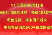 小红书11月最新图片打粉,一张图片引爆创业粉,“预算4980带我飞”,单条引流500+精准创业粉-蜗牛学社
