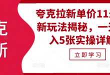 夸克拉新单价11米最新玩法揭秘,一天收入5张实操详解-蜗牛学社