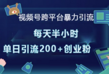 视频号跨平台暴力引流，每天半小时，单日引流200+精准创业粉-蜗牛学社