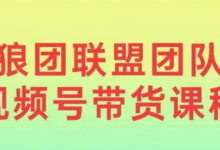 狼团联盟视频号带货，0基础小白快速入局视频号-蜗牛学社