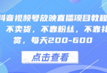 快手抖音视频号放映直播项目教程，不违规，不卖货，不靠粉丝，不靠礼物打赏，每天200-600-蜗牛学社