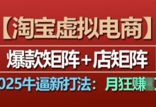 淘宝虚拟电商，2025牛逼新打法：爆款矩阵+店矩阵，月入过万-蜗牛学社