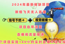 年最新稀缺项目敦煌飞天无人直播,项目自带流量,流量爆满,实现160小时实时直播不违规操-蜗牛学社
