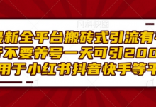 最新全平台搬砖式引流有手就行不要养号一天可引200+项目粉适用于小红书抖音快手等平台-冒泡网