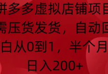 拼多多虚拟店铺项目，无需压货发货，自动回复，小白从0到1，半个月内日入200+-蜗牛学社