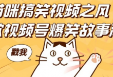 借猫咪搞笑视频之风，掀视频号爆笑故事潮，轻松日入四位数，无门槛快速入门!-蜗牛学社