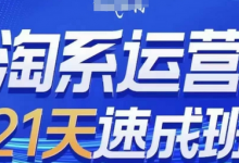 淘系运营21天速成班(更新24年12月)，0基础轻松搞定淘系运营，不做假把式-蜗牛学社