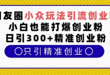 朋友圈小众玩法引流创业粉，小白也能打爆创业粉，日引300+精准创业粉-蜗牛学社