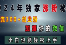 年独家涨粉秘籍，日引流300+创业粉，加爆你的微信好友，小白也能轻松上手-蜗牛学社