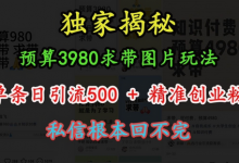 预算3980求带 图片玩法,单条日引流500+精准创业粉,私信根本回不完-冒泡网