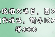 小说推文项目，图文创作玩法，新手10天挣3000-蜗牛学社