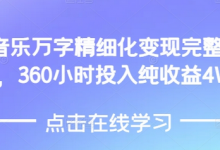AI音乐精细化变现完整教程，360小时投入纯收益4W-蜗牛学社