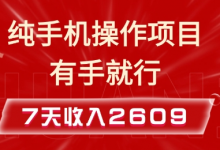 纯手机操作的小项目，有手就能做，7天收入2609+实操教程-蜗牛学社