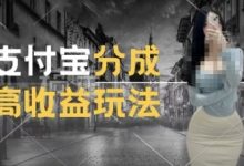 支付宝分成计划新玩法，利用交通事故视频，赚收益，轻松月入过W，操作简单-蜗牛学社