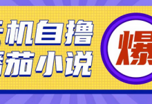 首发云手机自撸小说玩法，10块钱成本可撸200+收益操作简单-蜗牛学社