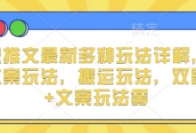 小说推文最新多种玩法详解，实况文案玩法，搬运玩法，双图片+文案玩法等-蜗牛学社
