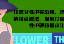 顶流女性IP实战班，流量上亿情绪引爆法，深度打磨顶流女性IP硬核基本功-蜗牛学社