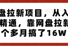 网盘拉新项目，从入门到精通，靠网盘拉新3个多月搞了16W-蜗牛学社