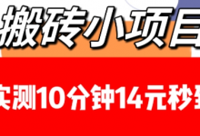 搬砖小项目，实测10分钟14元秒到，每天稳定几张(赠送必看稳定)-蜗牛学社