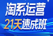 淘系运营21天速成班35期，年前最后一波和2025方向-蜗牛学社
