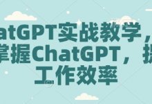 ChatGPT实战教学，快速掌握ChatGPT，提高工作效率-蜗牛学社