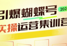 引爆蝴蝶号实操运营，助力你深度掌握蝴蝶号运营，实现高效实操，开启流量变现之路-蜗牛学社