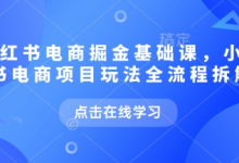 小红书电商掘金课，小红书电商项目玩法全流程拆解-蜗牛学社