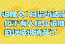 小说推文1月份玩法指南，终于有人把小说推文的玩法讲清楚了!-蜗牛学社