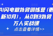 AI闪电做外贸训练营(更新25年1月)，从0到3外贸万人实战课-蜗牛学社