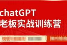 ChatGPT老板实战训练营，用GPT带飞，一人顶一个团队-冒泡网