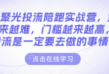 小红书聚光投流陪跑实战营，免费流量会越来越难，门槛越来越高，付费投流是一定要去做的事情-蜗牛学社