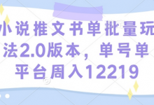 小说推文书单批量玩法2.0版本，单号单平台周入12219-蜗牛学社