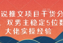 小说推文项目干货分享，双男主稳定5位数大佬实操经验-蜗牛学社