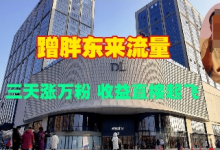 蹭胖东来流量，三天涨万粉，收益直接起飞-蜗牛学社