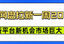 豆包网盘拉新，一周2k，新平台新机会-蜗牛学社