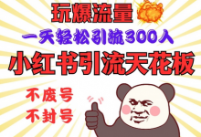小红书引流天花板，玩爆流量，一天轻松引流300人，安全操作-蜗牛学社
