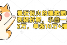 最近很火的爆款猫咪做饭视频拆解,小白一周涨粉2万,单条10万+播放(附保姆级教程)-蜗牛学社