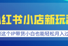 小红书小店新玩法，蹭这个IP带货，小白也能轻松月入过W-蜗牛学社