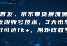 全网首发，京东带货暴流科技，无限账号技术，3天出单，单日可达1k+，附矩阵教学-蜗牛学社