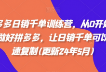 拼多多日销千单训练营，从0开始带你做好拼多多，让日销千单可以快速复制(更新25年2月)-蜗牛学社