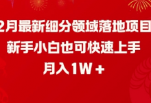 2月最新细分领域落地项目，新手小白也可快速上手，月入1W-蜗牛学社