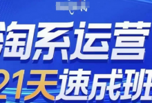 淘系运营21天速成班(更新25年2月)，0基础轻松搞定淘系运营，不做假把式-蜗牛学社