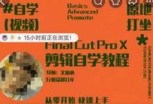轻松玩转剪辑系统课，​从零开始快速上手，同步练习高效学习，思维提升从简到难-蜗牛学社