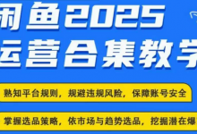 2025闲鱼电商运营全集,2025最新咸鱼玩法-蜗牛学社