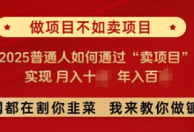 必看，做项目不如卖项目，2025普通人如何通过“卖项目”实现月入十个，年入百个-蜗牛学社