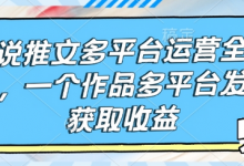 小说推文多平台运营全流程，一个作品多平台发布获取收益-蜗牛学社