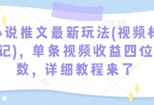 小说推文最新玩法(视频标记),单条视频收益四位数,详细教程来了-蜗牛学社