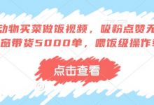 AI动物买菜做饭视频，吸粉点赞无数，橱窗带货5000单，喂饭级操作教程-蜗牛学社
